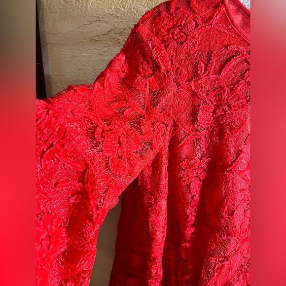Free People Dress NWT-retails $198, Elegant Mini Red Lace, Flowy, oversized - Picture 9 of 14